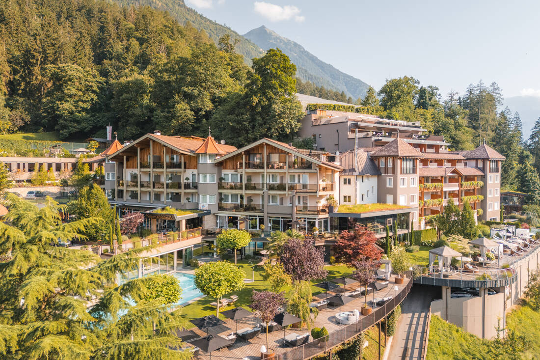 Alpenschlössel Sommer